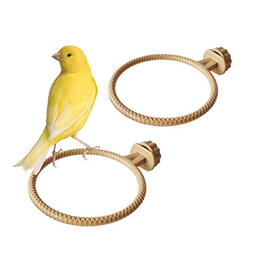Ring plastic stand perches - stand,