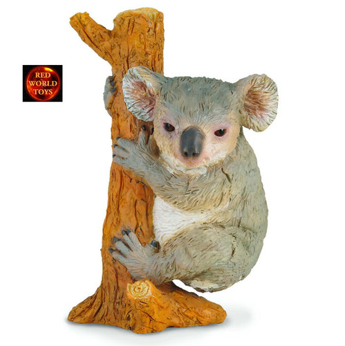 Koala bear climbing australian - bear,