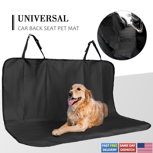 Back rear pet dog - back,