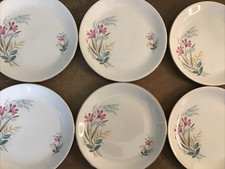 Set of Six Vintage 1950s, Alfred Meakin ‘Freesia’ Pattern 19.5cm Side Plates