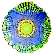 RARE SHELLEY HARMONY DRIPWARE