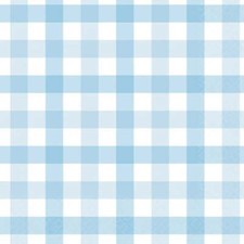 Pastel Blue Gingham Lunch