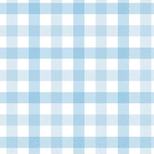 Pastel blue gingham - pastel, lunch