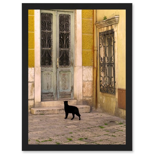 Black cat contrast yellow - cat,