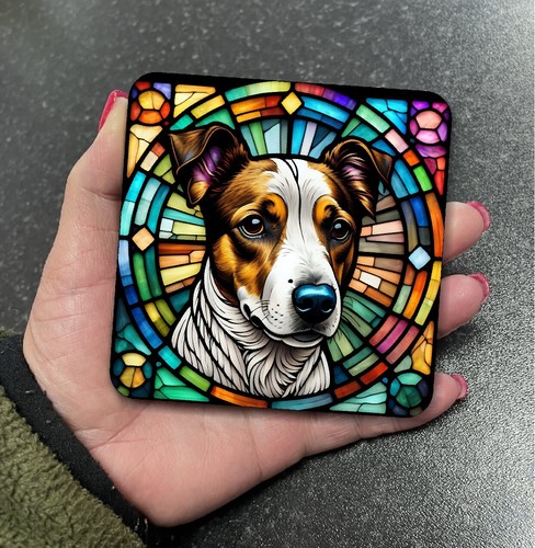 Stunning jack russell dog - jack,
