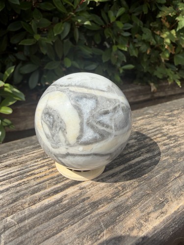 Coral fossil sphere - fossil,