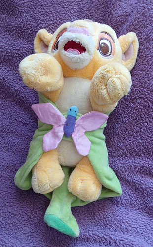 Disney parks - parks,