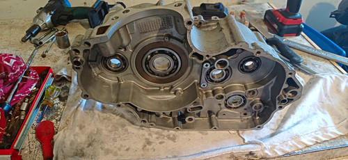 Apache rlx450 right side - rlx450,