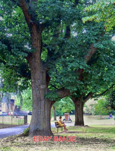 Photo ravenscourt park - photo,
