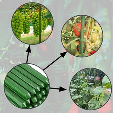 Green Garden Plant Stakes