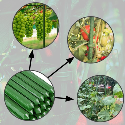 Green garden plant - plant, stakes