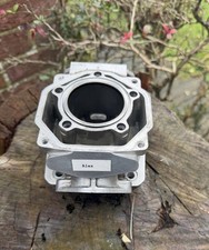 1 Junior Rotax Max Old Engine