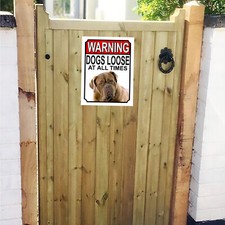 Warning Dogs Loose BullMastiff