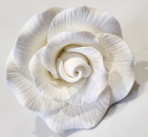 Sugar flower peace rose - rose, head
