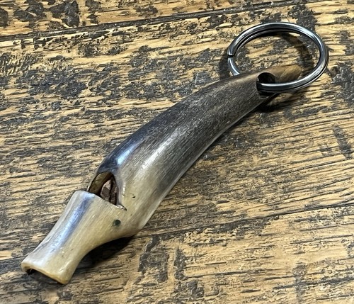 Antique buffalo horn tusk - antique,