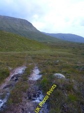 Photo 6x4 Moorland Argocat