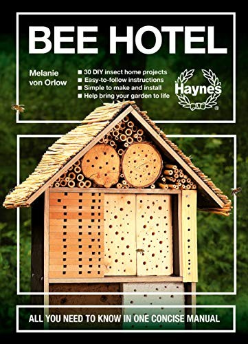 Bee hotel all you - all, need