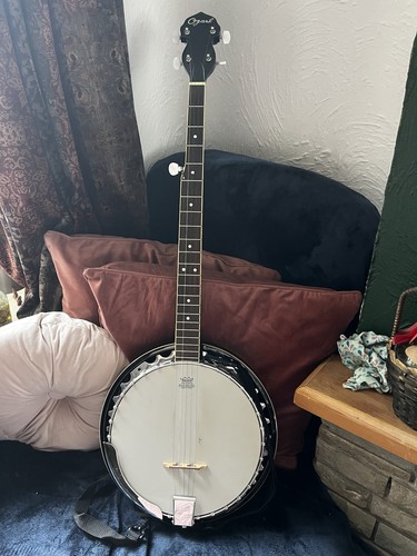 Ozark string resonator banjo - 5,