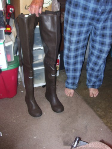 Rare vintage driducks - vintage,