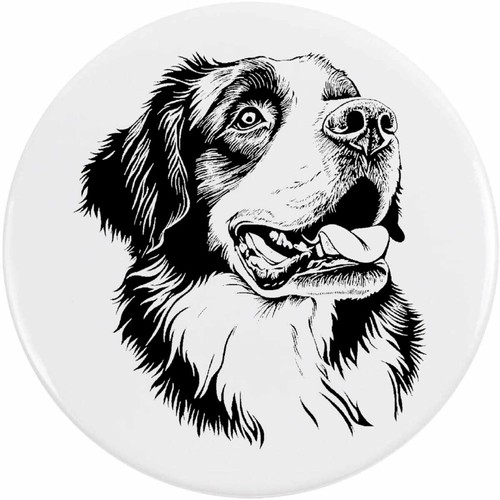 Bernard dog portrait - 'st,