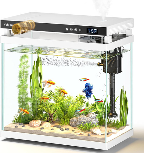 Fish tank aquarium - fish, 2.2