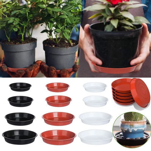 Round plastic plant - plastic, pot