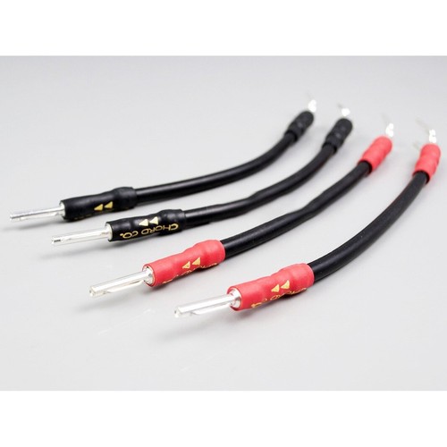 Chord signature speaker links - chord,