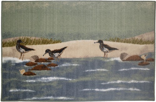30x46 sandpiper beach - 30x46,