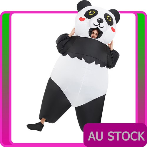 Kids inflatable kung panda - kung, fu