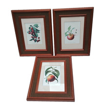 Job Lot 3 x Wooden Picture