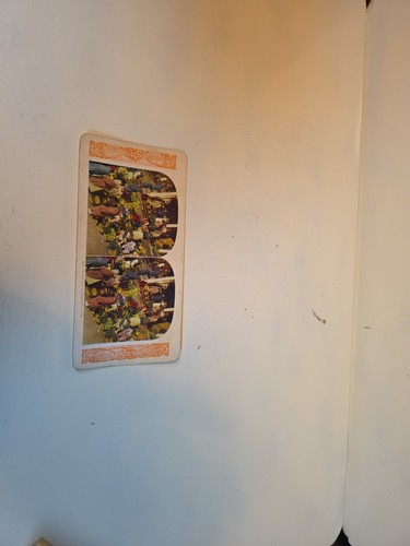 Stereoscope stereoview cards - stereoscope,