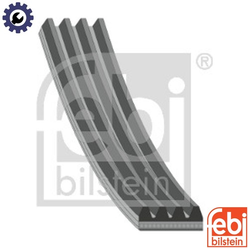 Vribbed belt 28772 for - vribbed,