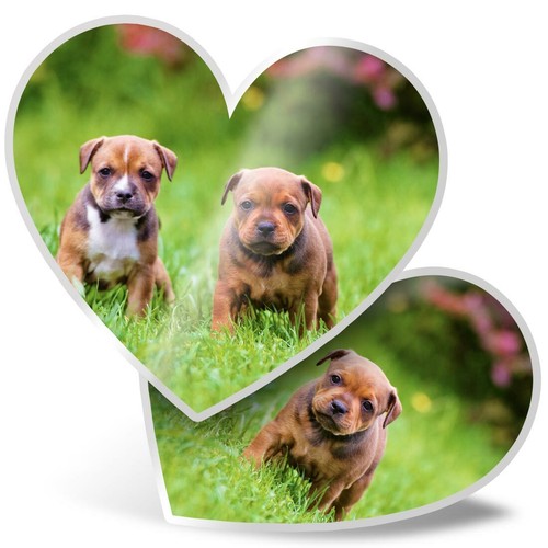 Heart stickers cm - 2,