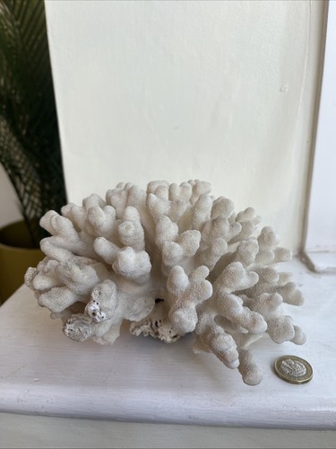 Large piece antique coral - of,