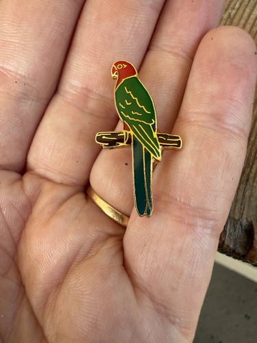 Vintage colourful parrot bird - vintage,