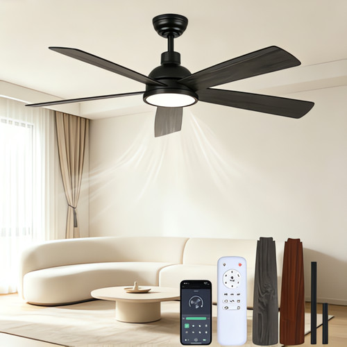 Fan light with speed - fan,