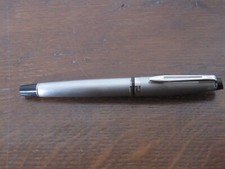 Waterman Expert Fountain Pen