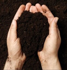 Multi-Purpose Compost Soil Bag