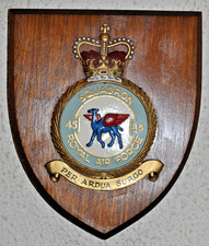 45 Squadron Royal Air Force