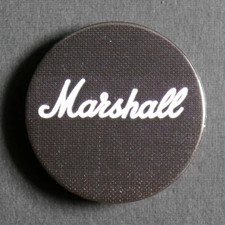 Marshall amp amplifier dual