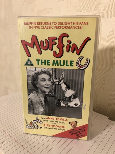 Muffin the mule - mule,