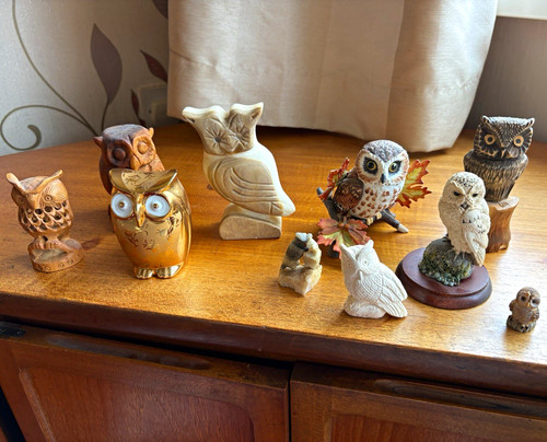 Collection owl - collection,