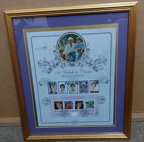 Princess wales framed photo - framed,