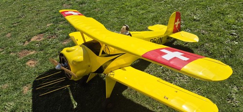 3rd scail bucker jungmeister - 1/3rd,