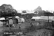 nxx-1 Social History, Gipsy