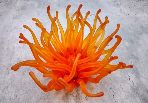 Orange faux anemone - anemone, fake