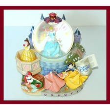 Disney Princess A Dream Is A