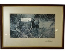 David Shepherd Elephant Art