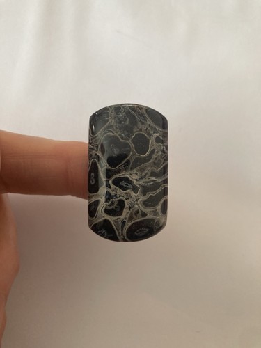 Petrified palm wood cabachon - petrified,