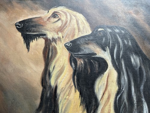 Afghan hound oil - hound,